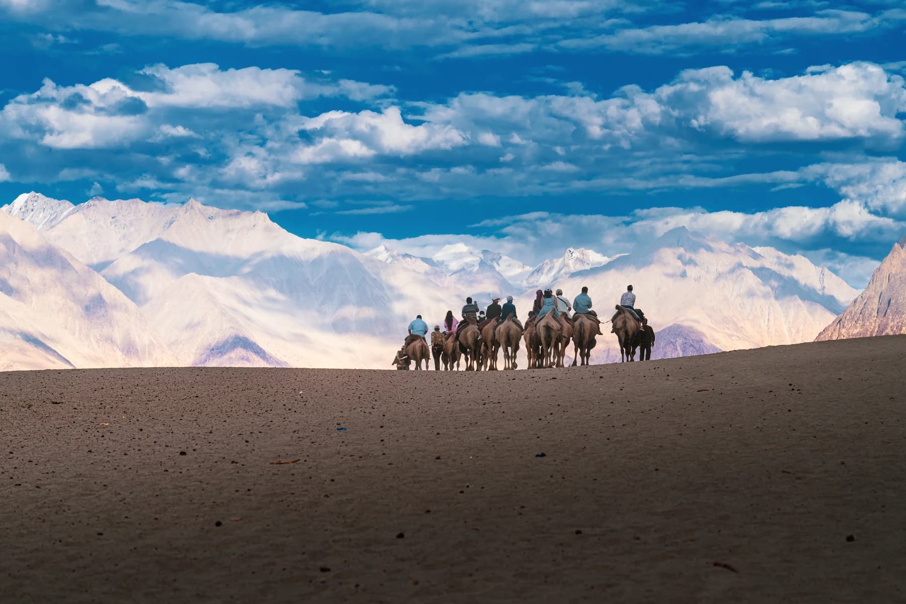 Camel riders crossing the sand dunes of Nubra Valley